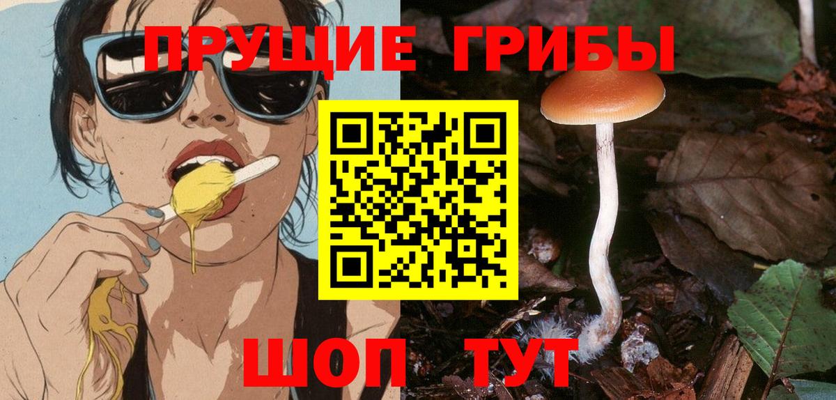 Галлюциногенные грибы мухоморы  Галлюциногенные грибы Cubensis  Кувандык  Вход с VPN 