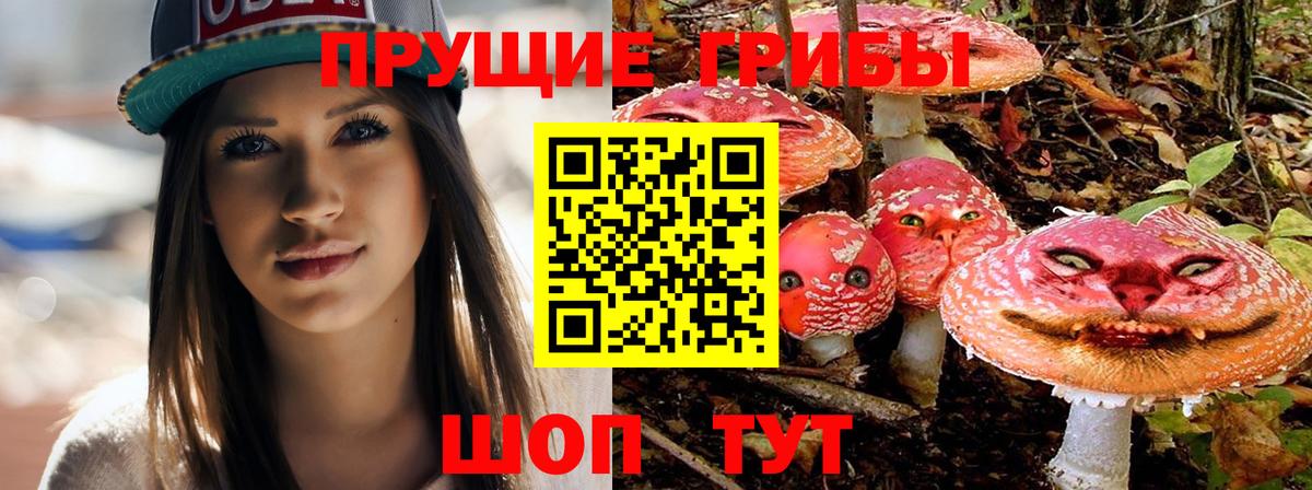 Галлюциногенные грибы GOLDEN TEACHER Кувандык